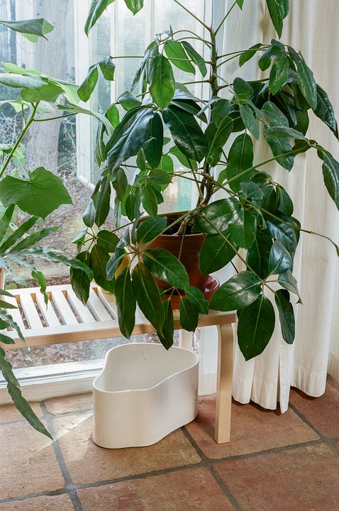 153B Bench by Artek, in situ