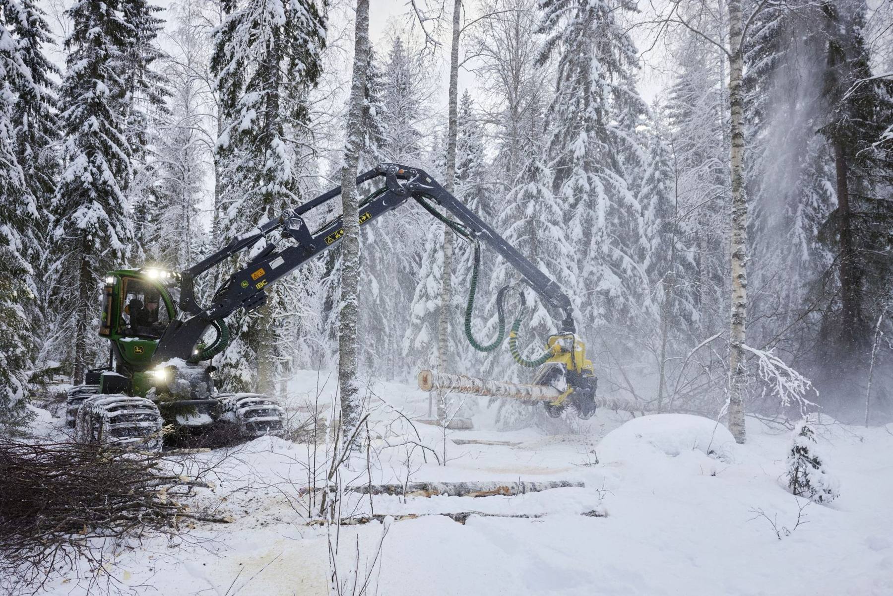 Harvesting Finnish birch in winter